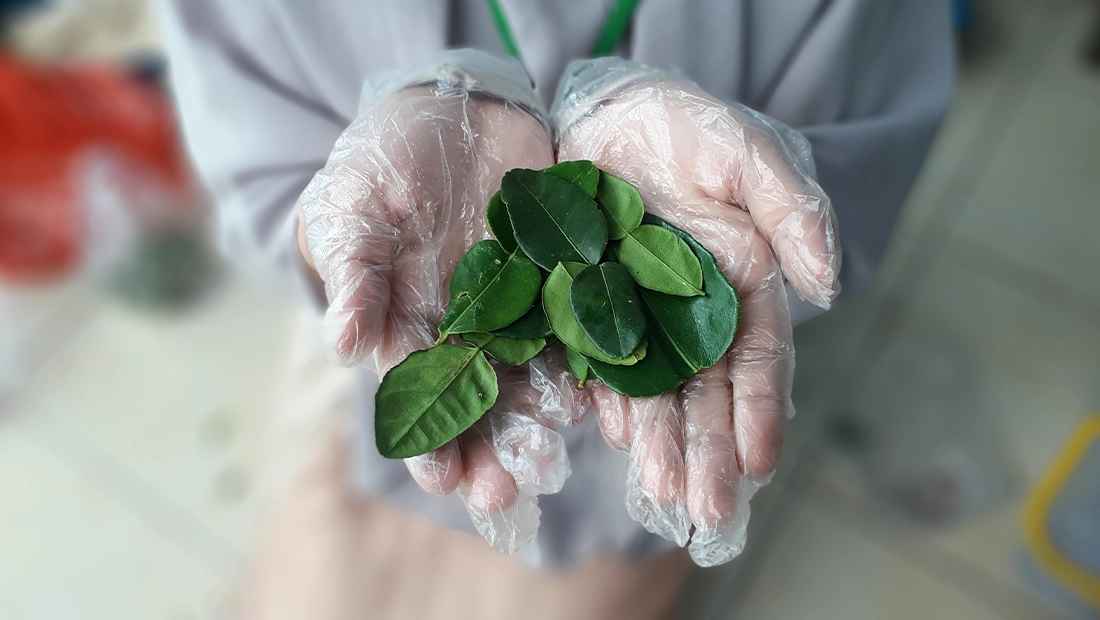 5 facts about disposable biodegradable gloves