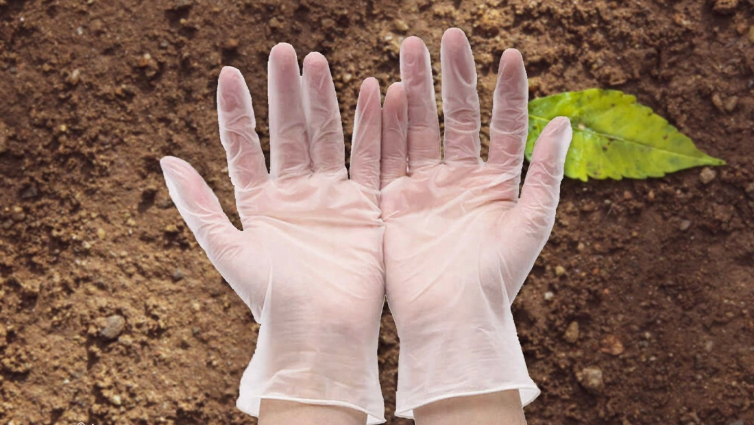 Five facts about disposable biodegradable gloves