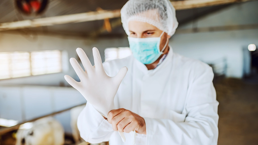 How Do Veterinary Gloves Keep Your Hands Safe?