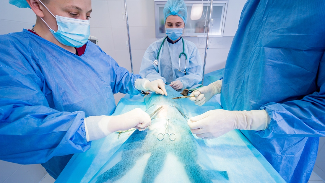 Unveiling the Crucial Role of Surgical Drapes: Enhancing Precision and Safety in Operating Rooms